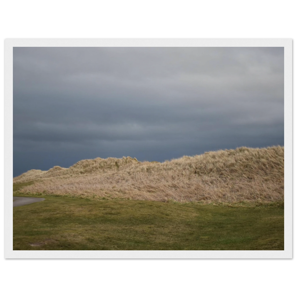 cc65716c-d760-4ebf-9781-ef3fcf1796a0