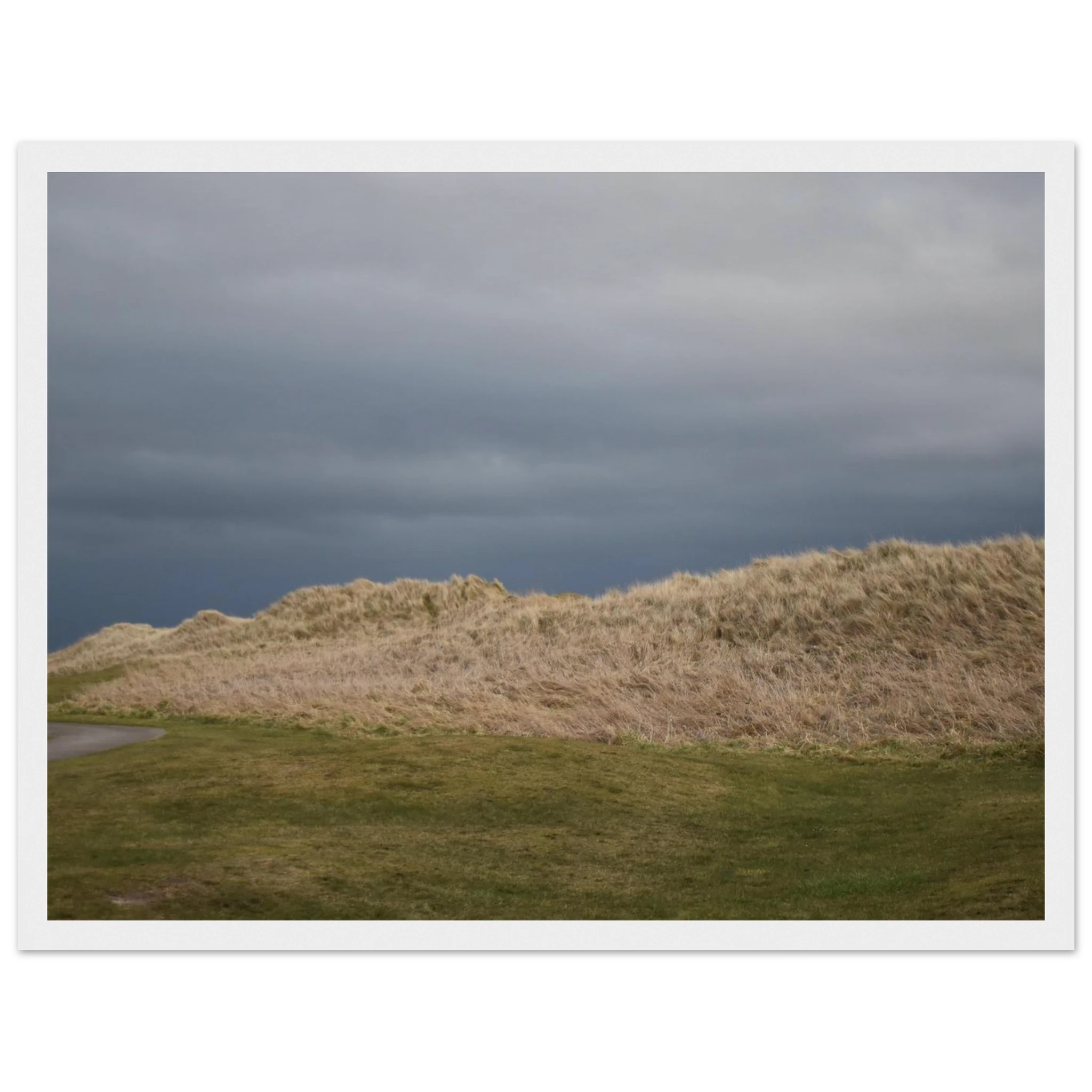 cc65716c-d760-4ebf-9781-ef3fcf1796a0
