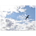 cf8ac78f-9aae-43d5-9fff-65f5ca4f6ae4