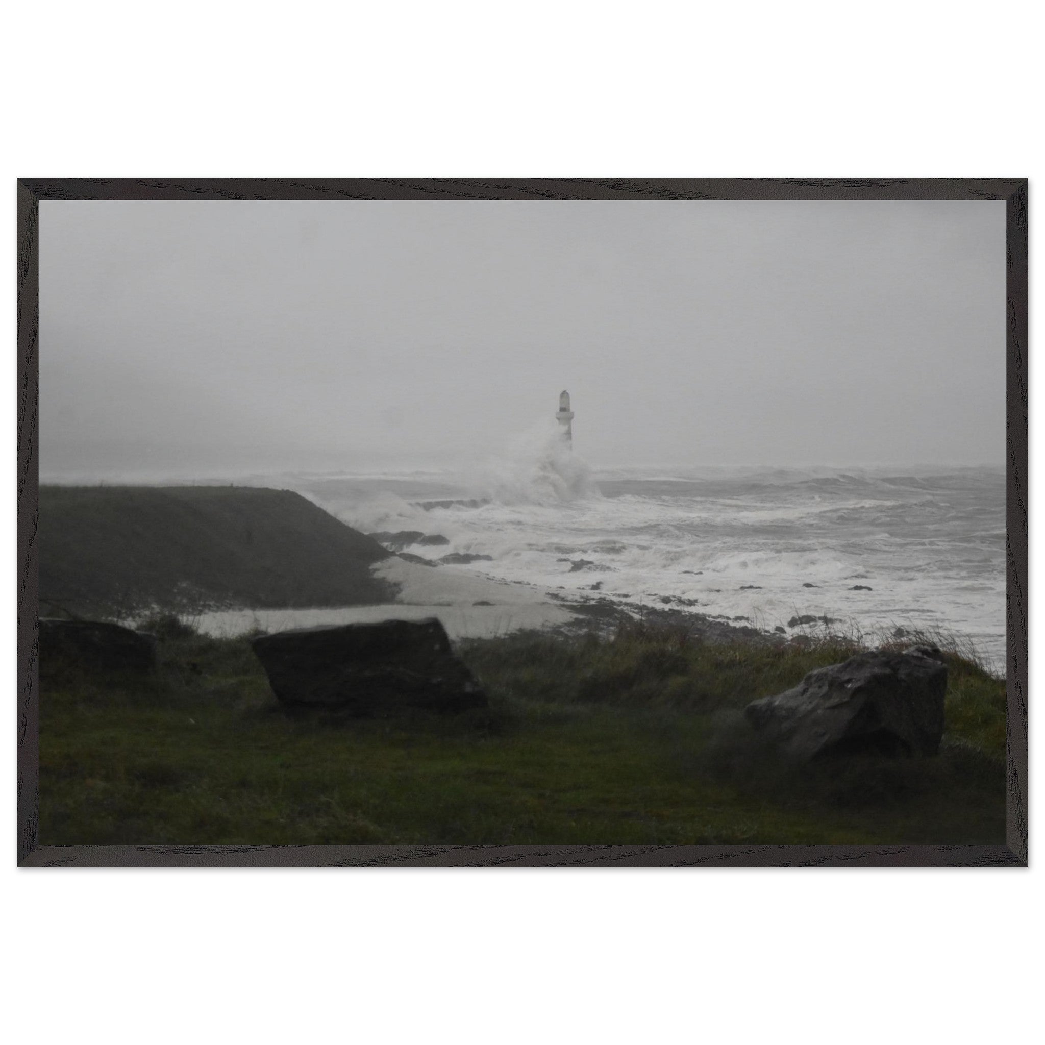 d1736219-7896-4e3b-abff-3388feba4c13