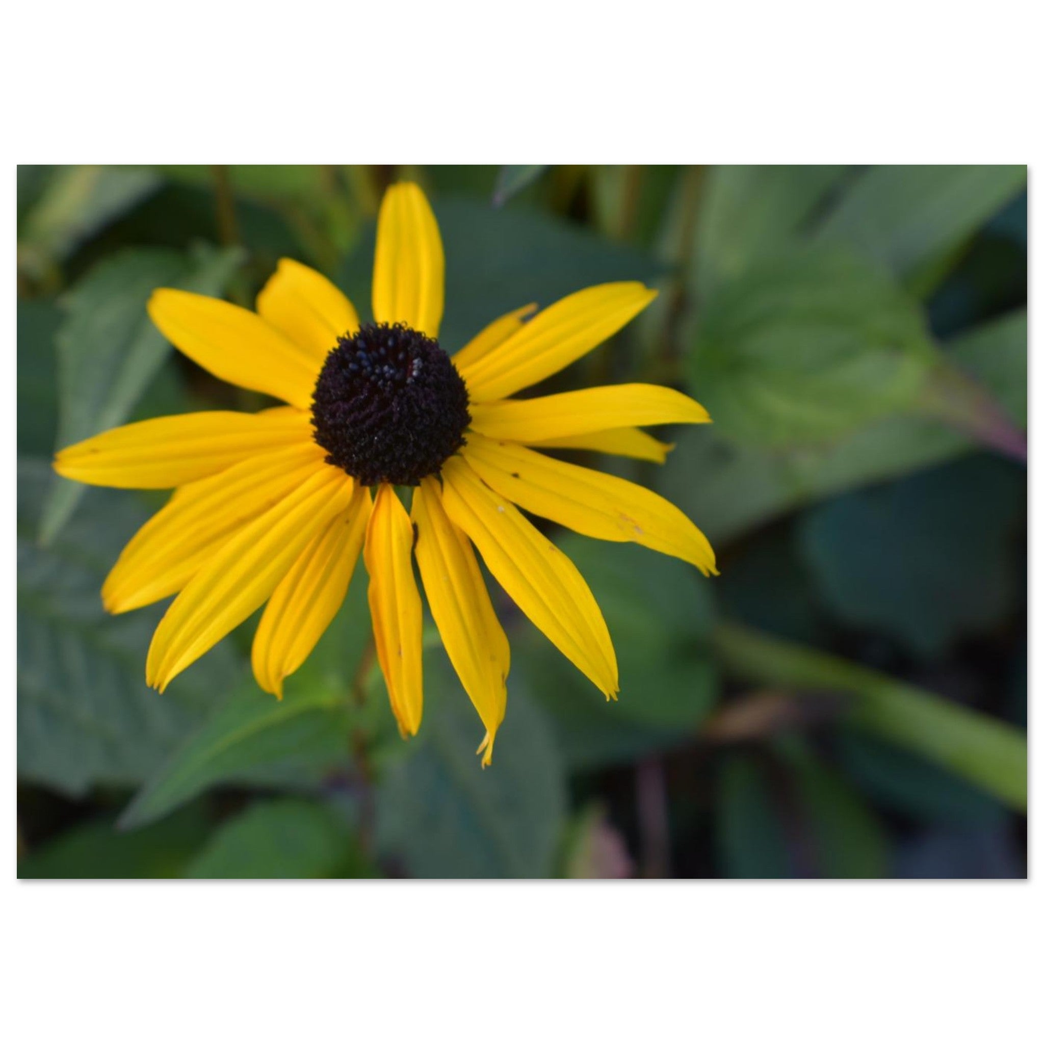 d2f83436-62e0-46f0-8906-625c2cef0713
