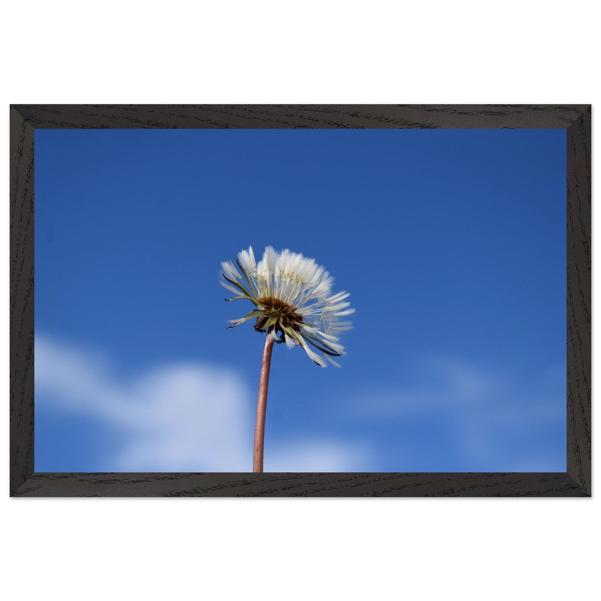 d379798b-5af0-4f2e-9762-593fccc1270f