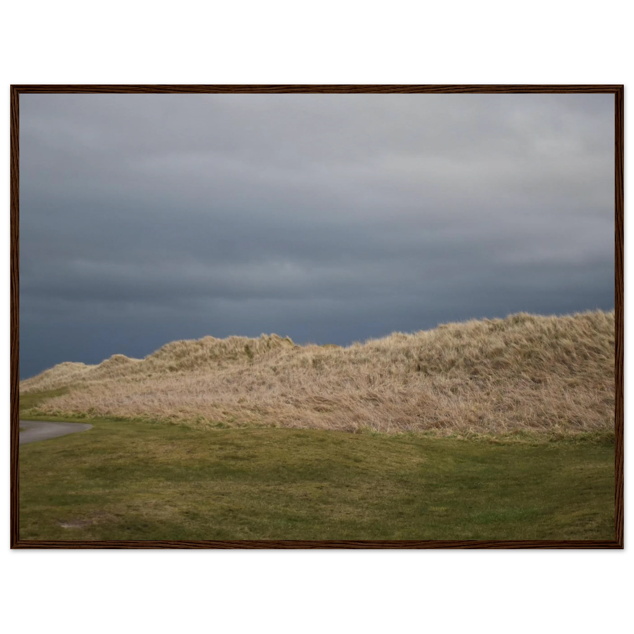 d4293bf1-c3cc-4764-93a0-538405dc4962