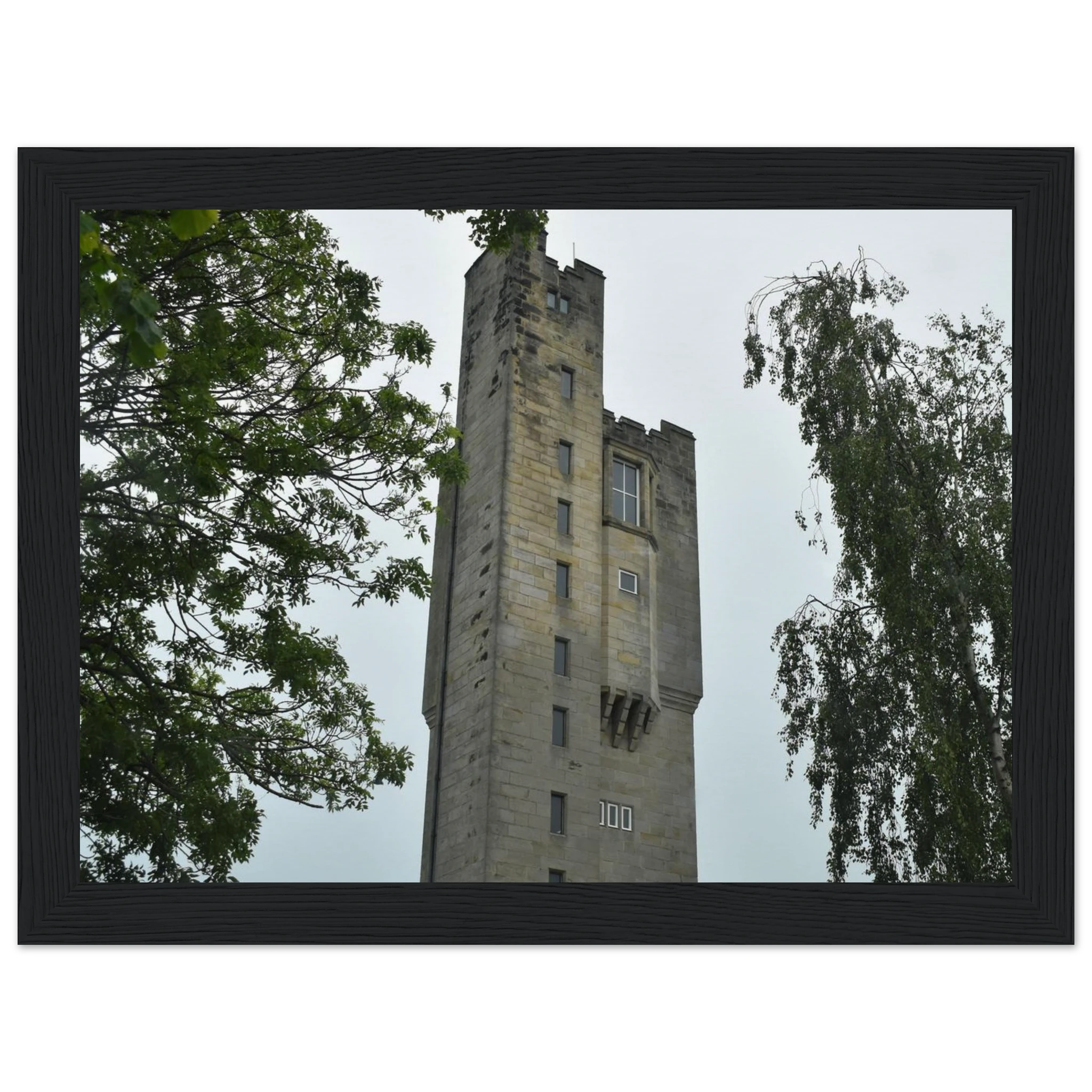 d53b4aa8-f6a4-4b42-bfa9-a556e3a4ca16