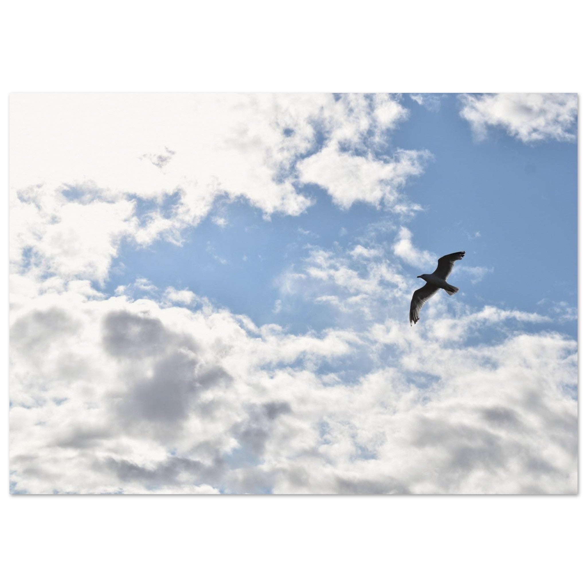 d765e31f-3283-4d19-b6ea-409bdd9207cf