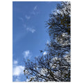 d85e68ba-00bd-4221-9d09-e12198c167f5