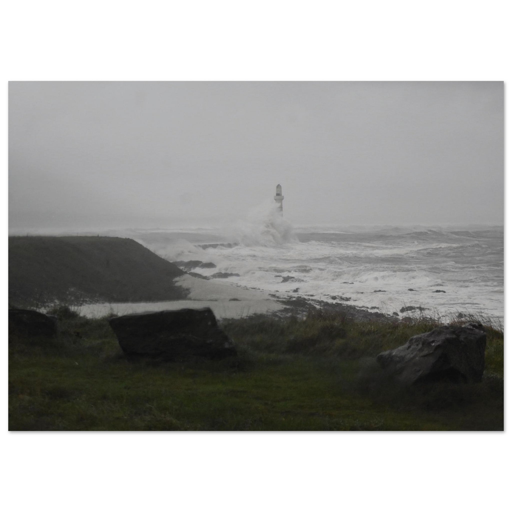 d9d22469-875f-44b0-a20a-d41482895565