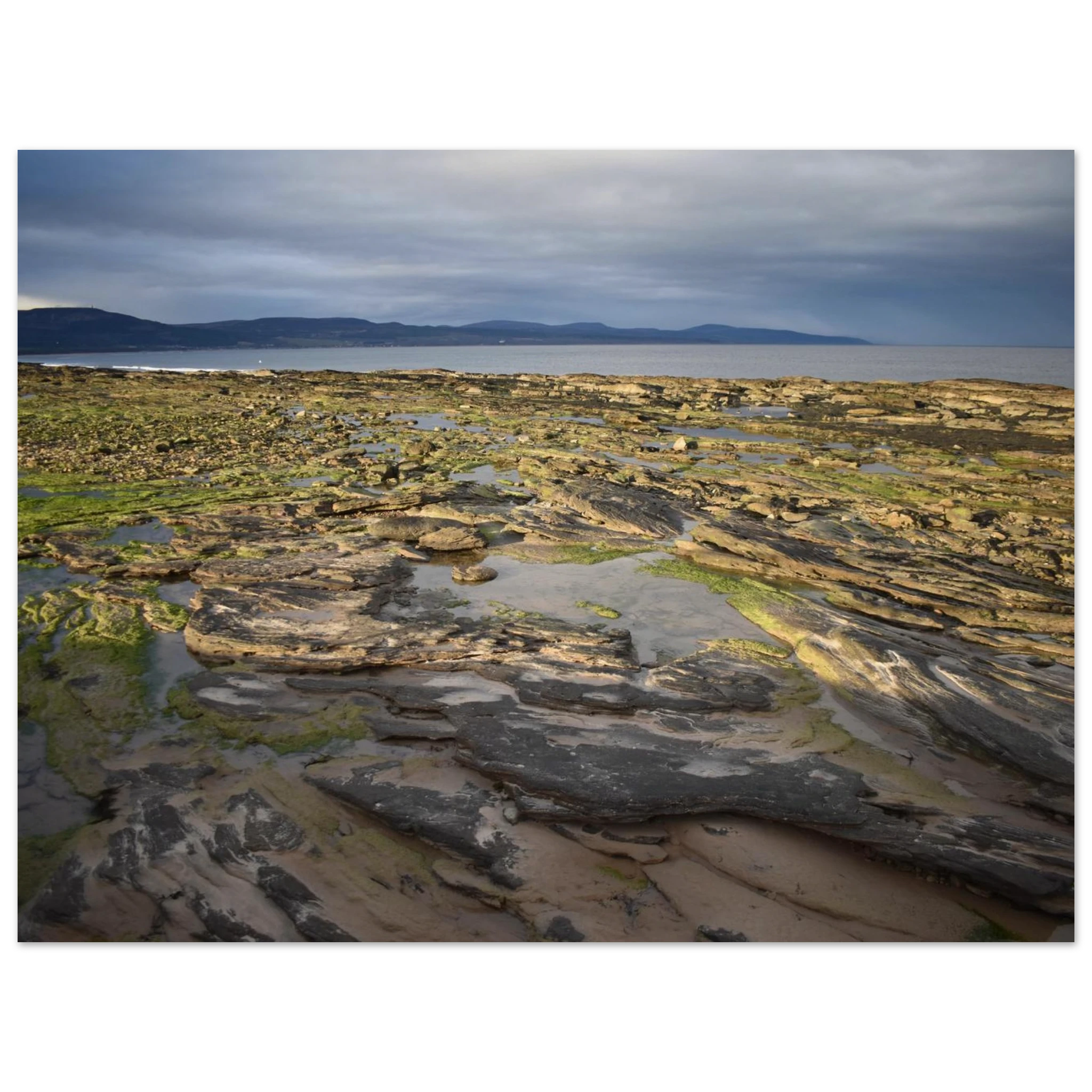 d9daee09-4263-4b32-b80b-10251d632c05