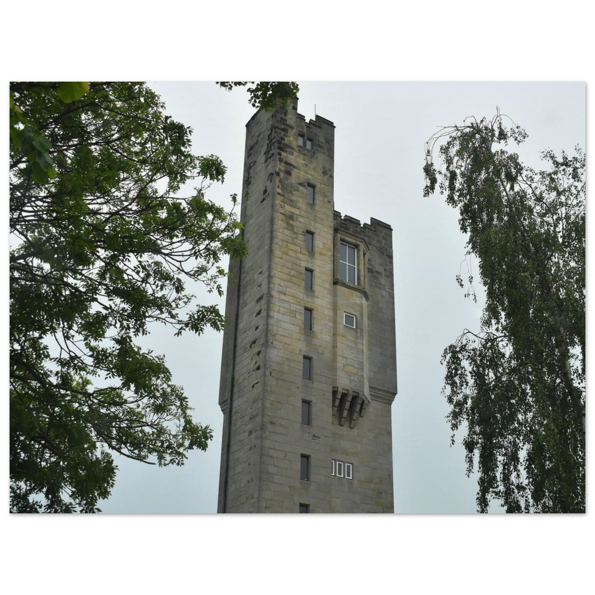 db939627-7804-4410-9309-c9783f94ba31