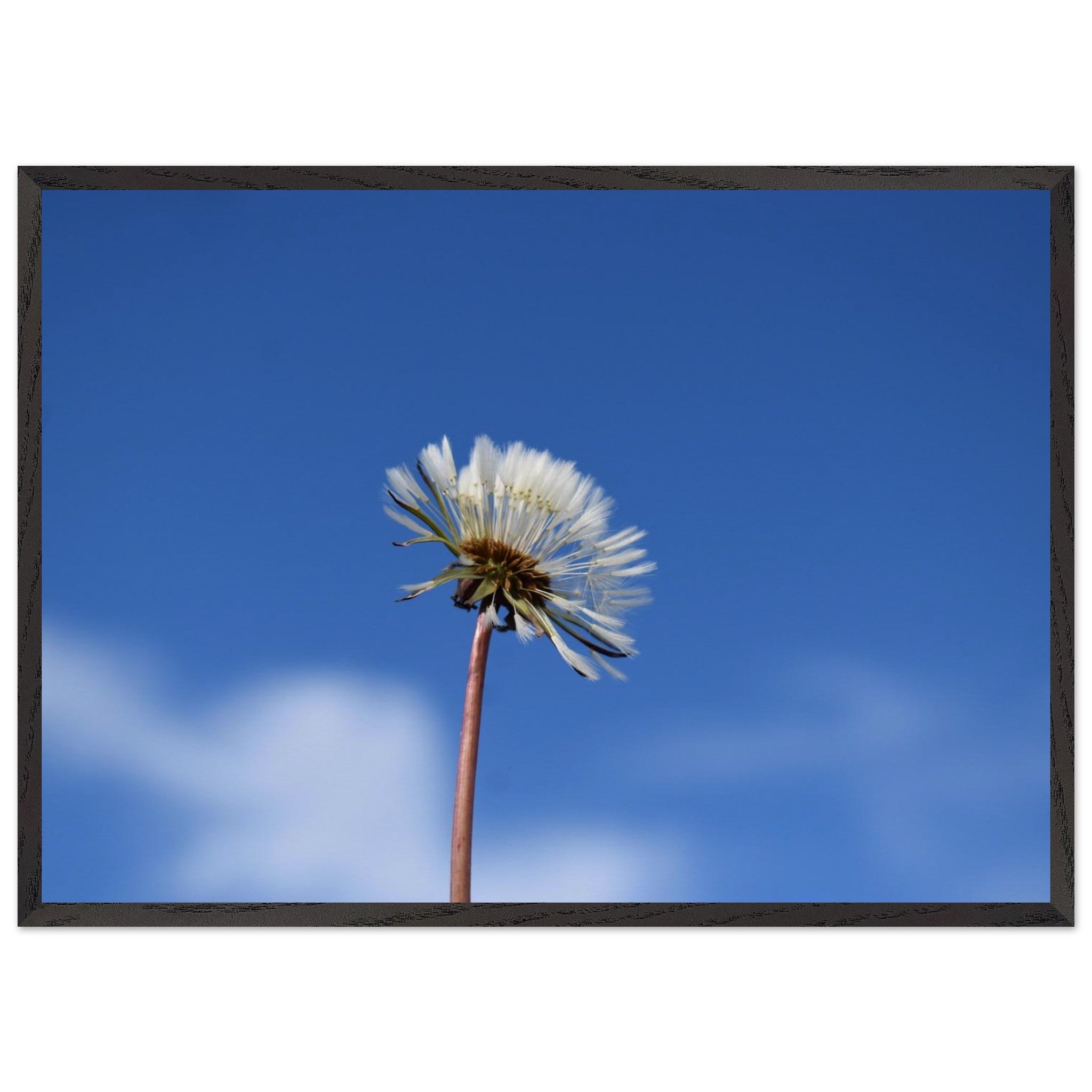 df11c650-404d-42a9-8e24-7bf33167f278