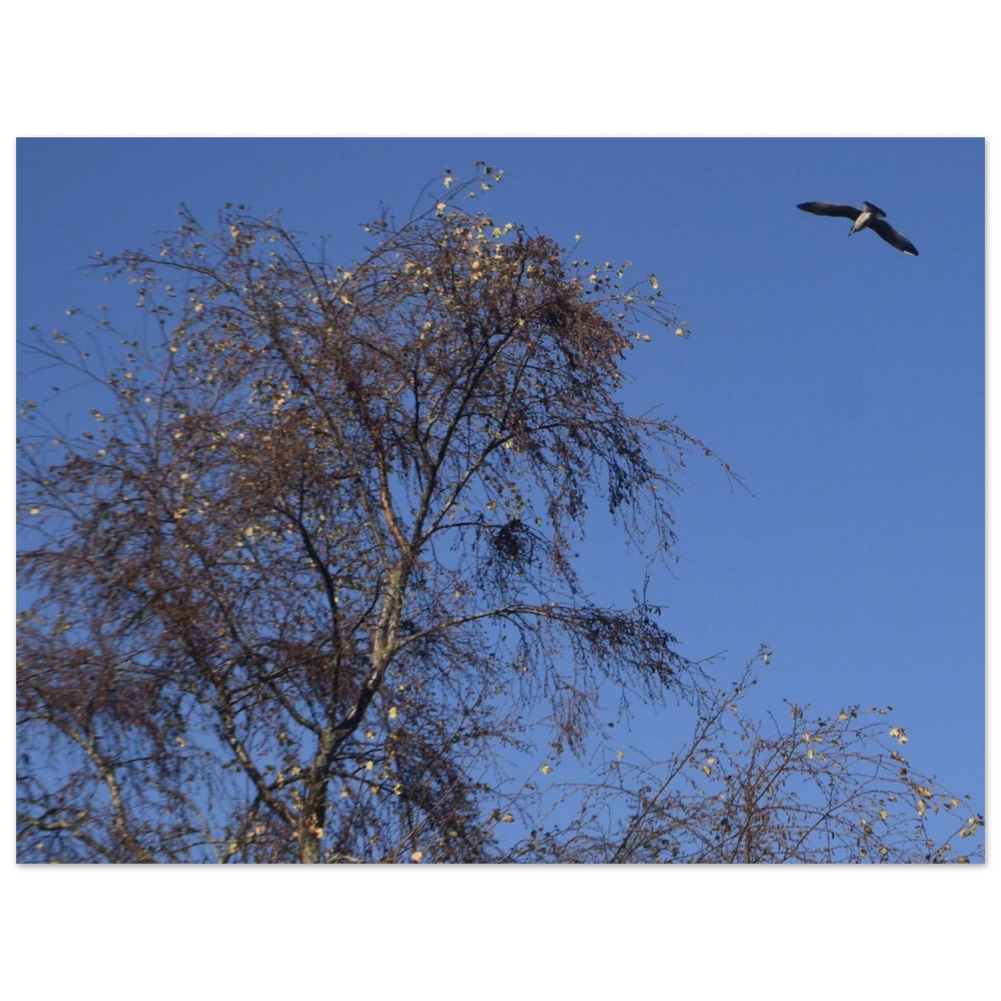 e0984d5d-6c2f-4fdc-8c78-dccff1ef80cd