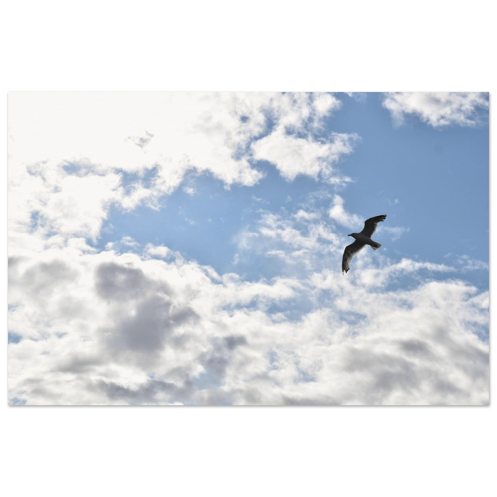 e73100ff-92a4-4fdf-8031-1272ace9158b