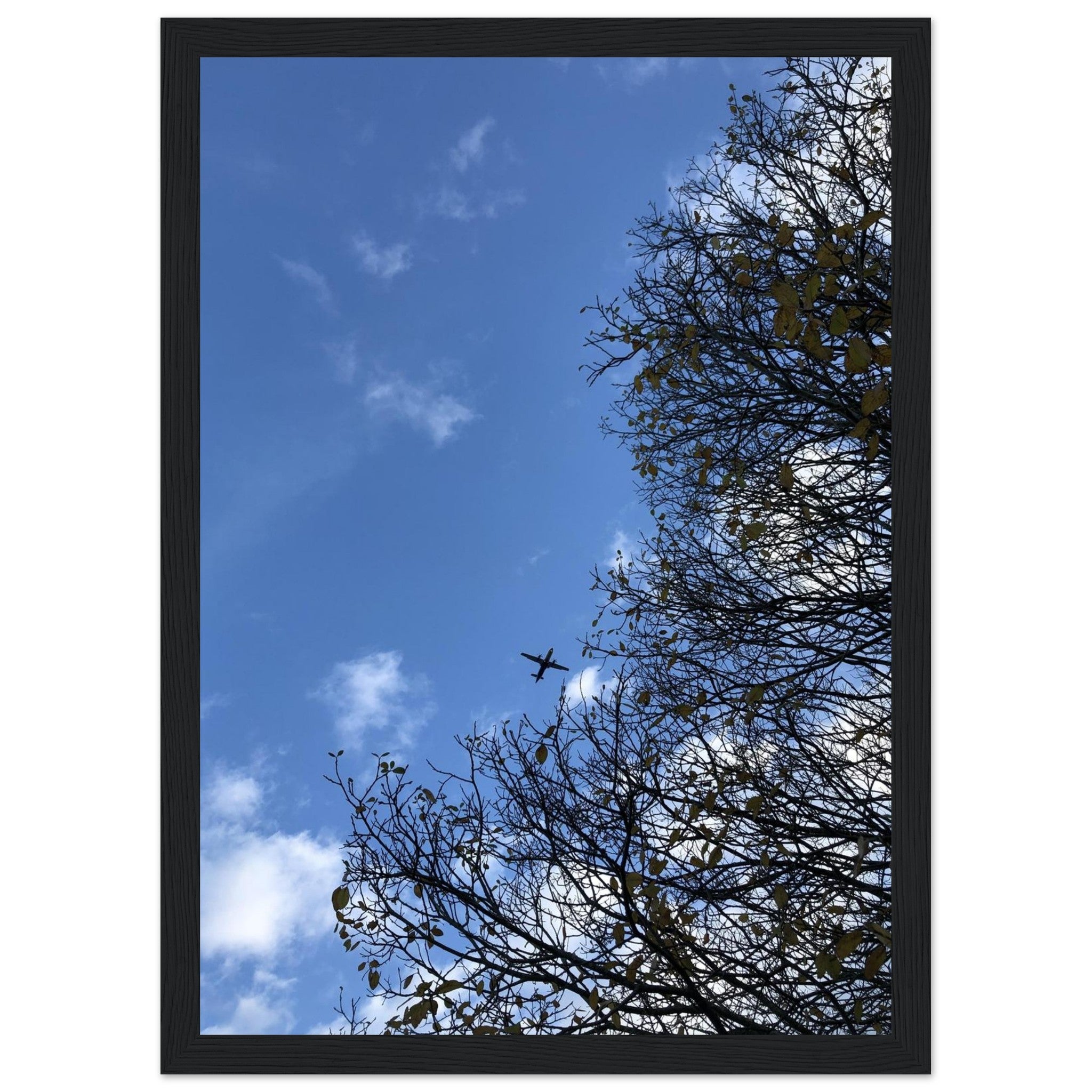 e957103f-bb18-43c0-b17a-9656e73a4c84