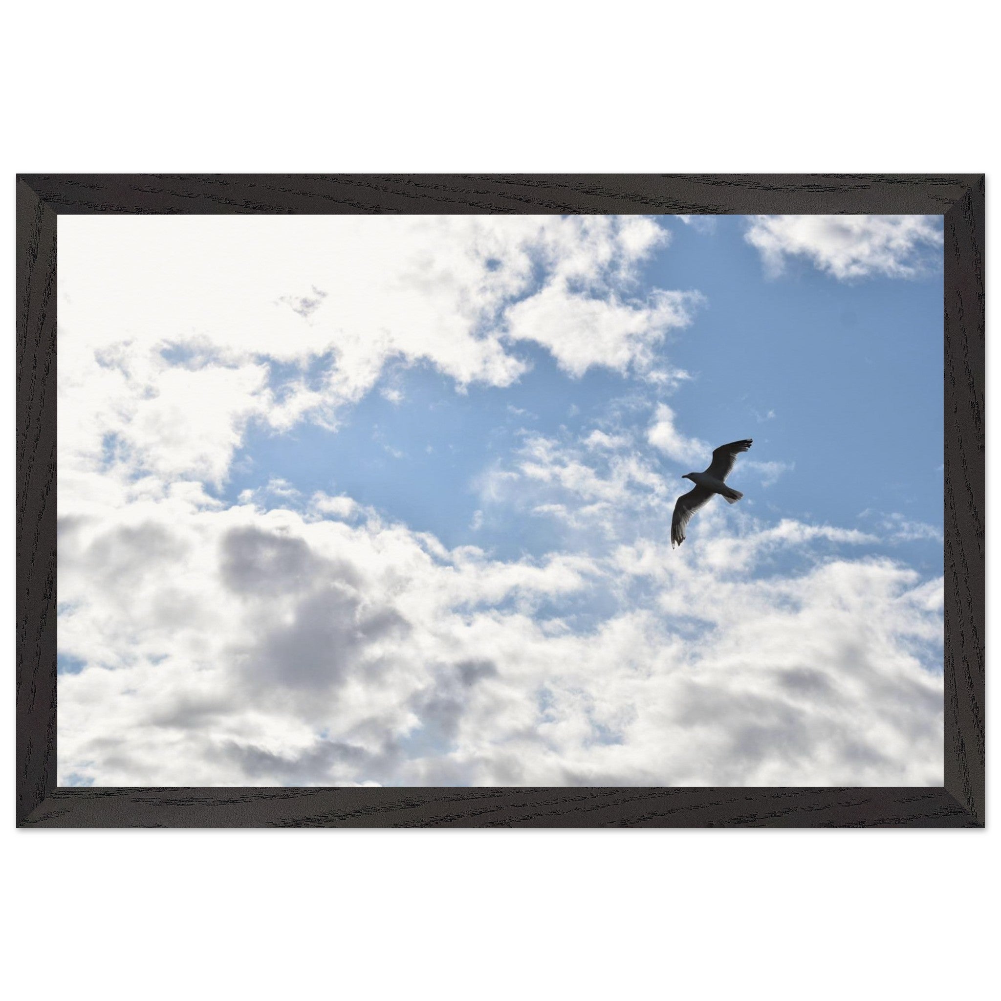 eb07d410-67de-485c-a9f5-9ad92af02500