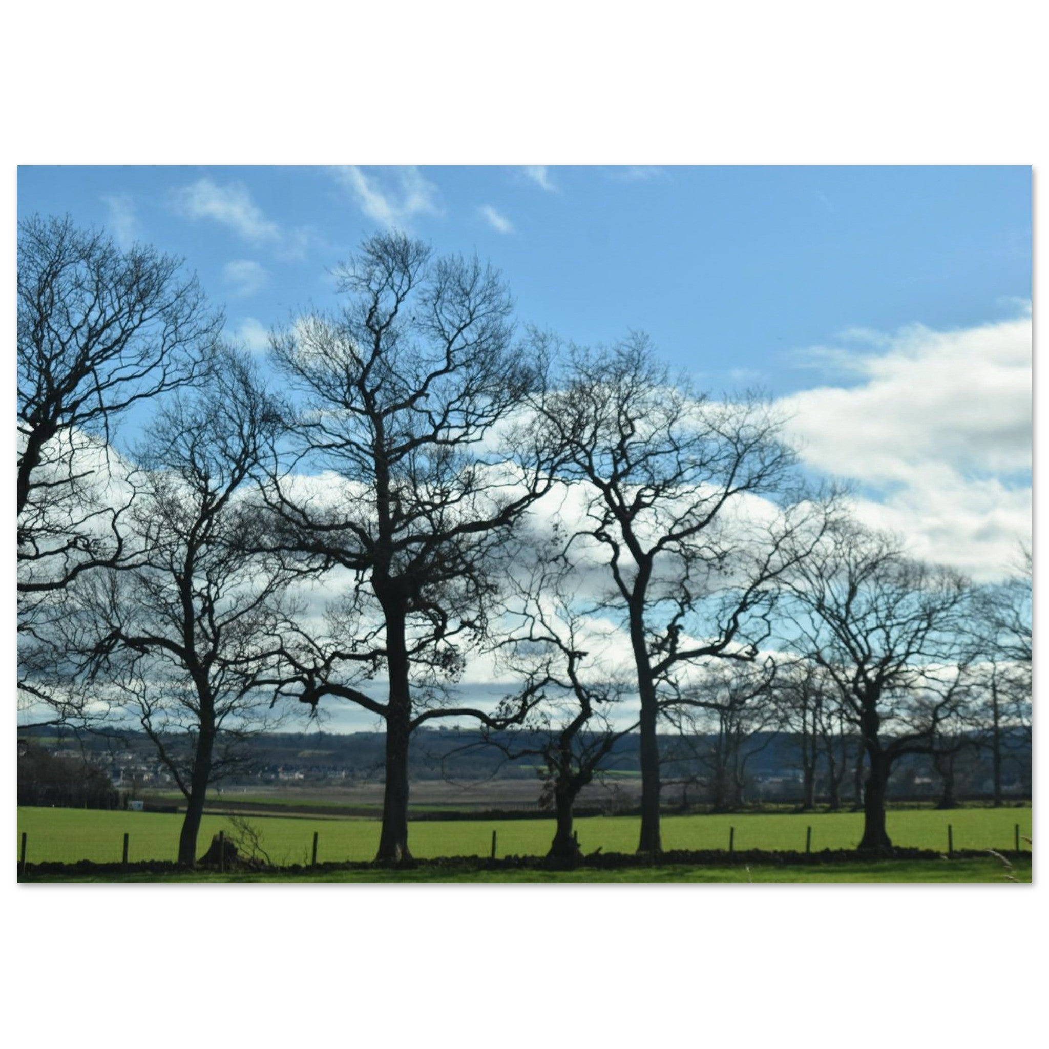 ef7899c3-2e93-4bdf-aa99-34761d0bb095