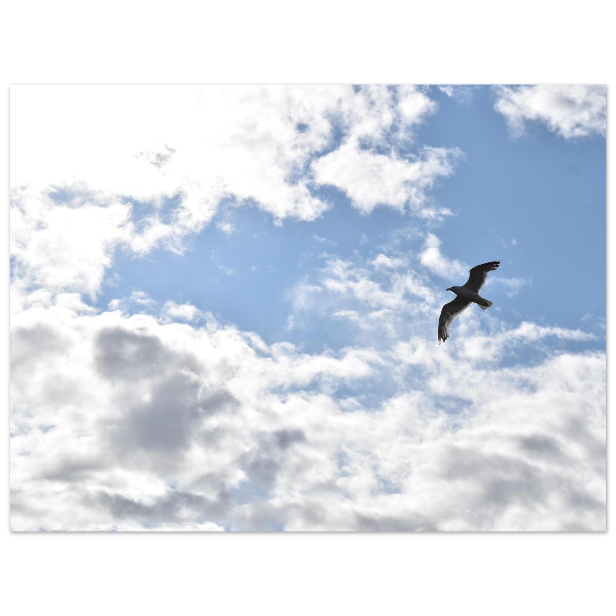f2528841-8e1e-4b6b-80aa-8306b08ed9d3