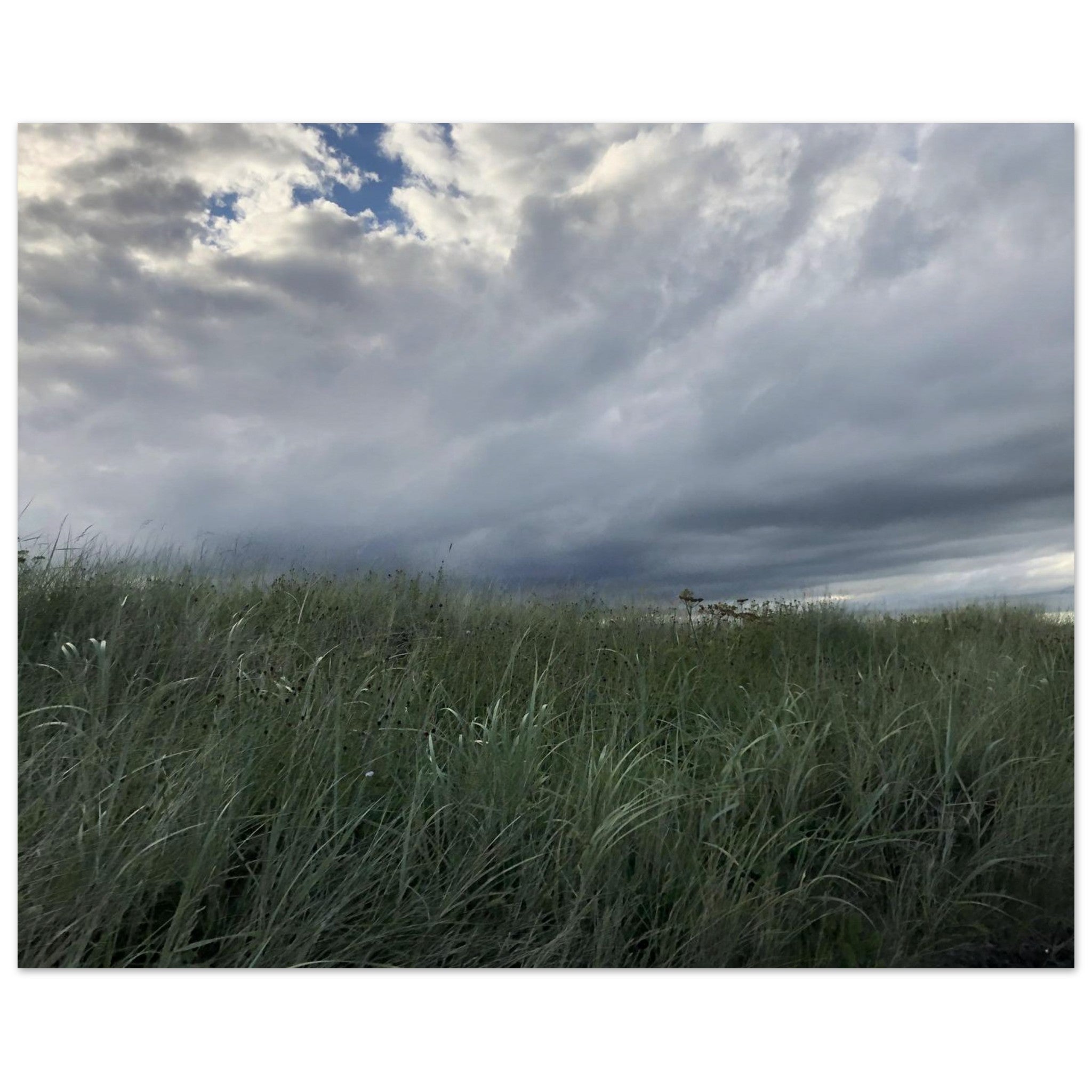 f7d595ed-17f7-4338-9a42-ba3c681bf277
