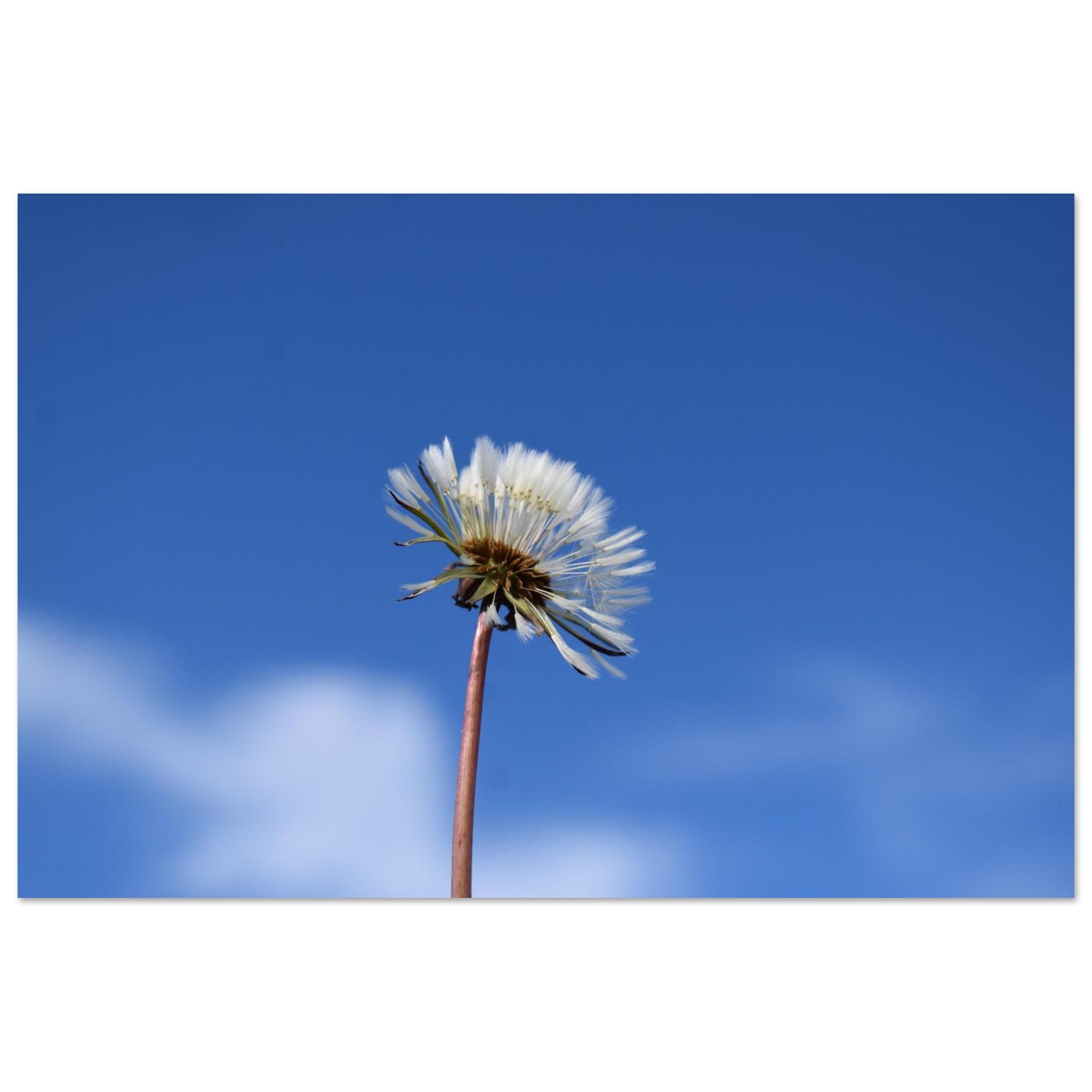 fe3a6639-731d-4bd9-b917-bb5c511283d0