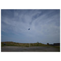 feec096e-c9f6-44ef-a236-8fe8aaf07073